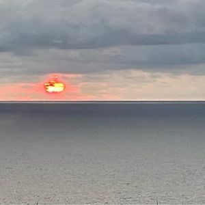 Meet your Posher, Marguerite